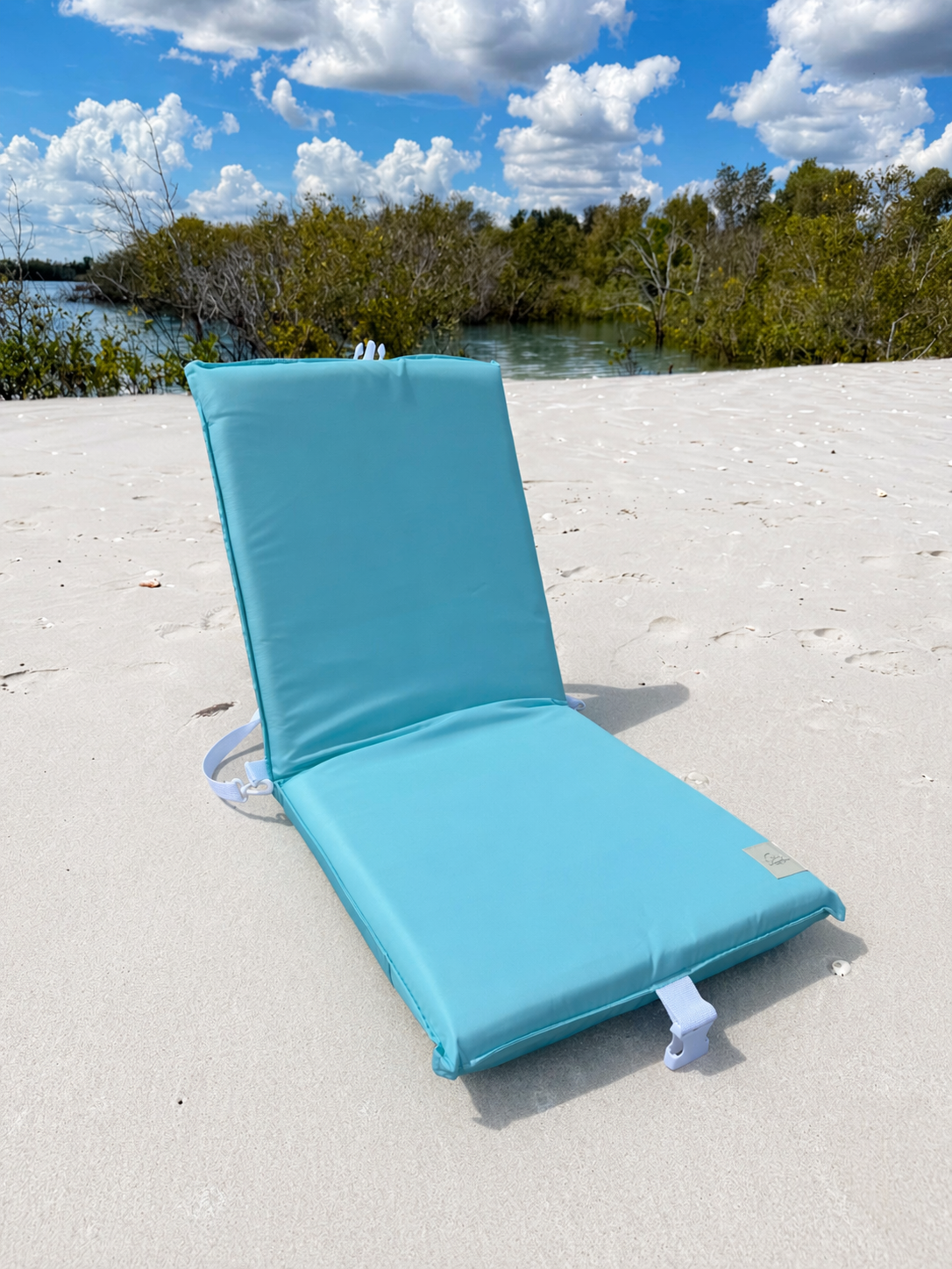 Tide Pool Beach Backpack Chair